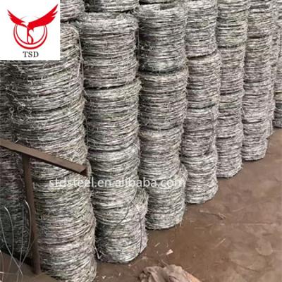 China Protect Fencing Galvanized Phosphated Tempered Spring Steel Wire for sale