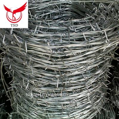 China Protect fencing hot dipped galvanized steel wire price / jiangsu shagang group for sale