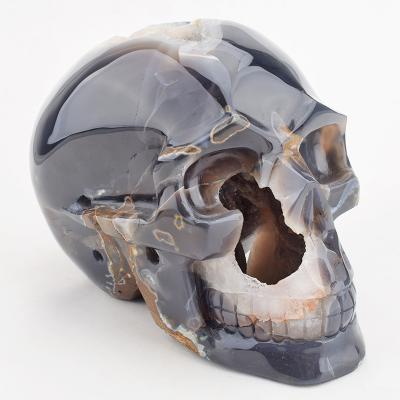 China China 8.5 Inch Gemstone Carving Crystal Skulls Large Agate Crystal Skulls Healing Crystal Crafts For Fengshui Decoration for sale