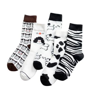 China Funny Breathable Korean Japanese Women Cotton Sock Cartoon Logo Makers Custom Crew Socks QUICK DRY Socks for sale