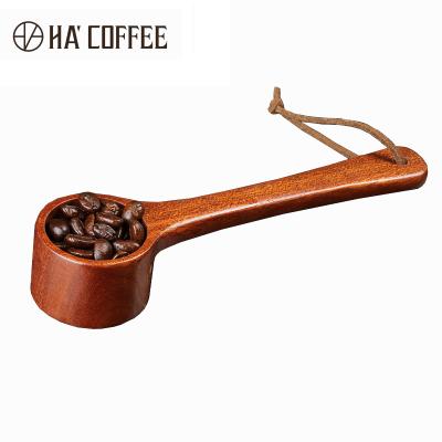 China Sustainable Coffee Accessories Food Grade Small Wooden Tea Spoon Coffee Bean Measuring Scoop for sale