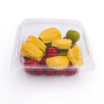 China Eco-Friendly Food Containers Of Various Features Modern Low Price for sale