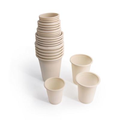 China 2021 Hot Selling Food Wholesale Price Eco Friendly Biodegradable Mug for sale