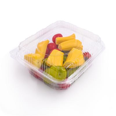 China Disposable Transparent PET Plastic Fruit Container Packaging Clear 16oz Salad Box Fruit Box Vegetable Container for sale