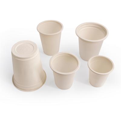 China Sustainable Disposable Cups 8oz Biodegradable Cornstarch Cornstarch Insulated White Water Heat Resistant Cups for sale