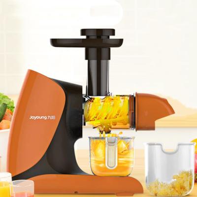 China RV Smoothie Blender Juicer Extractor Machine Electric Cold Press Slow Juicer Juicer for sale