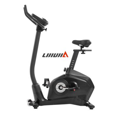 China Lijiujia Fitness Home Exercise Gym Equipment Universal Magnetic Resistance Indoor Spin Bike With Flywheel 7kg for sale