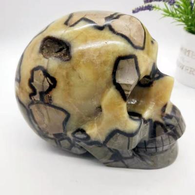 China Europe crystal craft gemstone skulls human septarium crystal carving crystal skulls for healing decoration for sale