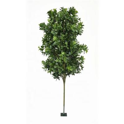 China Minimalist Hourpark Green Tree High Quality Fiberglass Plastic Indoor Outdoor Artificial Plant Large for sale