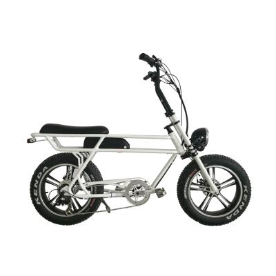 China Aluminum Alloy Greenpedel 48V 750W Waterproof Fancy Design Electric Bike Electric Bicycle for sale