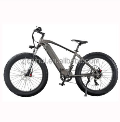 China EB-2601 2 Wheel Unisex Self Balancing Electric Bike 500W 750W Electric Scooter With CE for sale