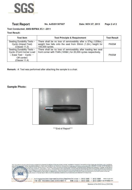 SGS - CHANGZHOU NANTAI GAS SPRING CO., LTD