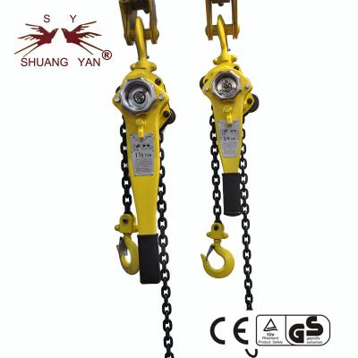 Chine grue à chaînes 0,75 Ton Eco Friendly de levier de 1.5M Lifting HSHX G80 à vendre