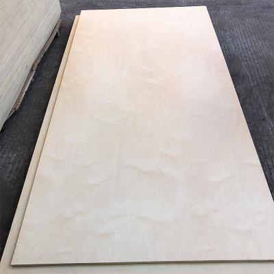 China Best Quality Birch Plywood Double Sided Birch Plywood 9mm 12mm 15mm 18mm Surface Birch Plywood EUROPEAN Natural Poplar Core for sale