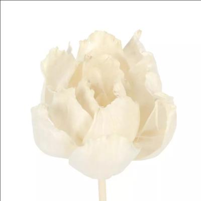 China Sustainable Home Decoration Aroma Aromatherapy Reed Diffuser With White Flower Simple Style for sale