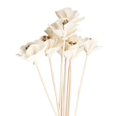 China Sustainable Eco Friendly Wooden Sola Flower Tubular Diffuser Sola Flower For Air Freshers for sale