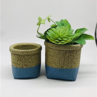 China Modern hemp patterns cement weaving pot with dry home decor flower pot new style planting for sale