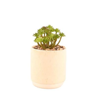 China Small Docarative Modern Eco-Friendly Garden Tree Planter Flower Pot Logo Style Modern Customized Biodegradable Plastic Elegant Green for sale