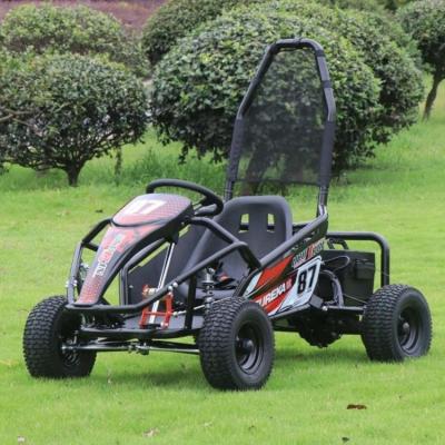 China Standard Single-double level gasoline four-wheel kart adult kids drift car beach venue off-road racing car for sale