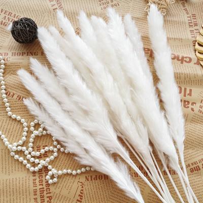 China Artificial Wedding Fake Flowers Artificial Feather Pampas Grass Environment Friendly for sale