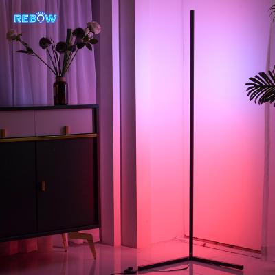 China Nordic modern minimalist aluminum remote dropshipping floor standing lampshade dimmer RGB led stand light floor lamp for living room for sale