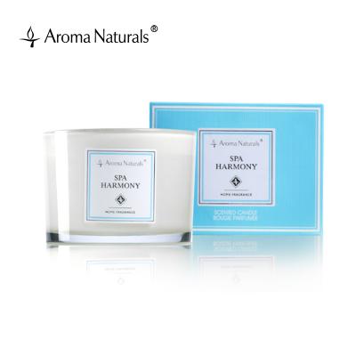 China Birthdays Aroma Natural Products Eco Friendly Scented Soy Candles Scented Scented Candle Set Soy Candles Private Label for sale