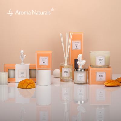 China Stored Natural Products Reed Diffus Widely Used Luxury Aroma Reed Diffuser Glass Defuser Bottle Reed Aroma Diffuser for sale