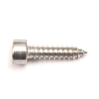 China Truss Wholesale ST4.2 ST5.5 Hex Socket Head Screw Bolts Stainless Steel Tapping Screws for sale