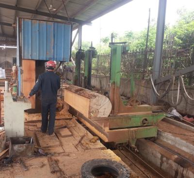 China Diâmetro 1000mm Serra de fita vertical Máquina de corte de madeira Serra de fita vertical com carro de toras CNC à venda