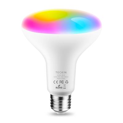 China General Use Tuya Teckin 12W 13W BR30 Smart Light Bulb RGB Color Dimmer WiFi Bulb for sale