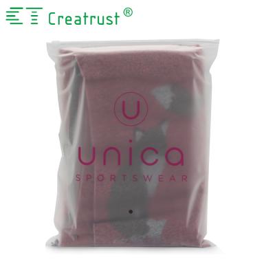 China Recyclable Custom Logo Printed Frosted Underwear Slider Zipper Bag for sale