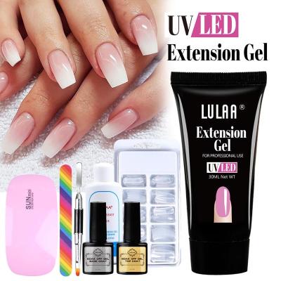 China Poly Nail Art Professional Quick Building Pink Acrylic Nail Starter Kit Clear Gel Nail Extension with Drier Lamp for sale