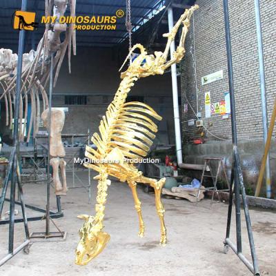 China exterior & Indoor Parks MY DINO GS001 Shop Interior Decoration Golden Animal Skeleton For Exhibition for sale