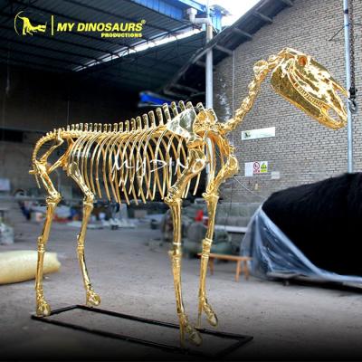 China Waterproof My Dino-Museum Quality Gold Dinosaur Animal Skeleton Model For Sale for sale