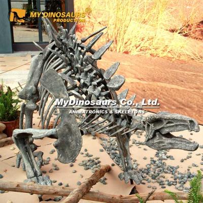 China exterior & Indoor Parks MY DINO Life Size Museum Stegosaurian Dinosaur Fossil for sale