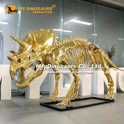 China exterior & Indoor Parks My Dino XJ193 Jurassic Park Decoration Gold Skeleton Dinosaur Triceratops for sale