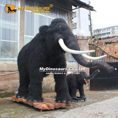 China exterior & MyDino AA053 Life Size Gigantic Parks Family Of Attraction Indoor Animatronic Animals for sale