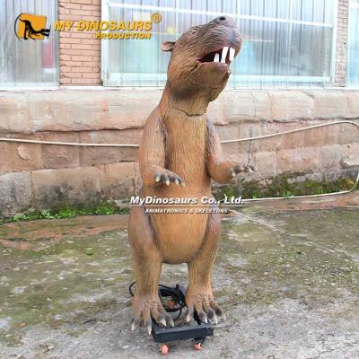 China exterior & MyDino AA050 Indoor Realistic Animatronic Animal Parks Big Size Beavers Model for sale