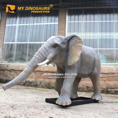 China exterior & Indoor Parks MY DINO AA-146 Animal Theme Park Animals Elephant Animatronic Model for sale