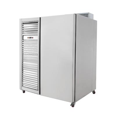 China Air Freezer 2400W 500L 15 Trays Blast Freezer Fish Blower PU Ice Cream Blast Freezer for sale