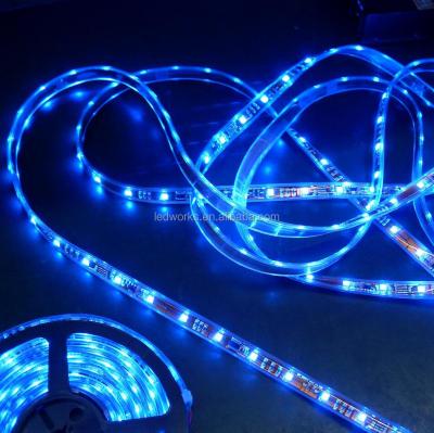 China WS2811 Theme Park Led Strip SPI Led Strip UCS1903 Digital Ribbon DMX Pixel String for sale