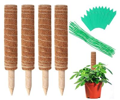 China Deluxe Morden Plant Support Totem Poles Coconut Coir Poles Support Plants For Growing Uphill Use Moss Poles Scindapsus Climbing Fram for sale