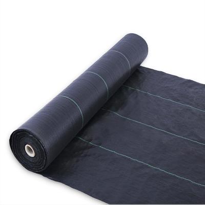 China Agriculture Cultivation Prevent Grass Growth Black PP Woven Weed Feathery Stipe Control Mat Cloth Weed Control Cloth Mat for sale