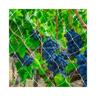 China Anti Bird Vineyard Net Flexible Garden Net Invisible Vineyard Plastic Bird Control Bird Netting for sale