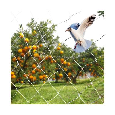 China Flexible Anti Bird Netting For Farm Fish Anti Bird Net Anti Bird Netting For Orchard for sale