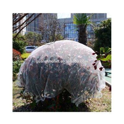 China Protect agriculture anti hail net/anti hail net anti hail net/PE agricultural protection for sale