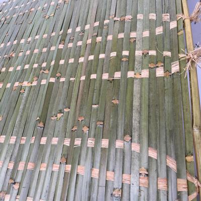 China Bamboo Slat Sukkah Sukkot Raffia Mat for sale