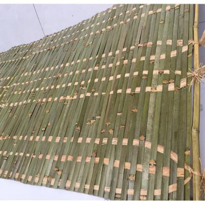 China Israel Sukkah Schach Raffia Bamboo Viable Rug for sale