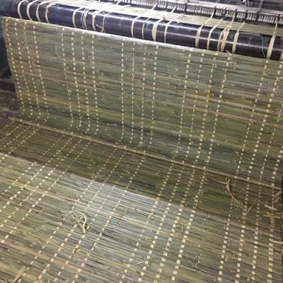 China Other raffia carpet at Israel market for sale