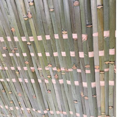 China Viable green bamboo mat for religious sukkah for sale